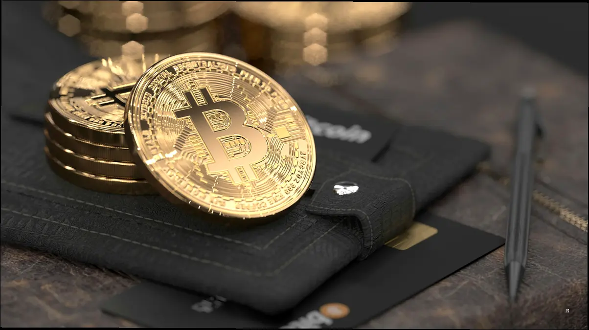 자주 묻는 질문 (FAQ)