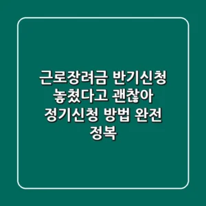 근로장려금 반기신청 놓쳤다고? 괜찮아! 정기신청 방법 완전 정복