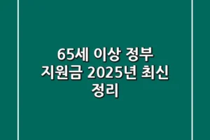 65세 이상 정부 지원금 2025년 최신 정리!