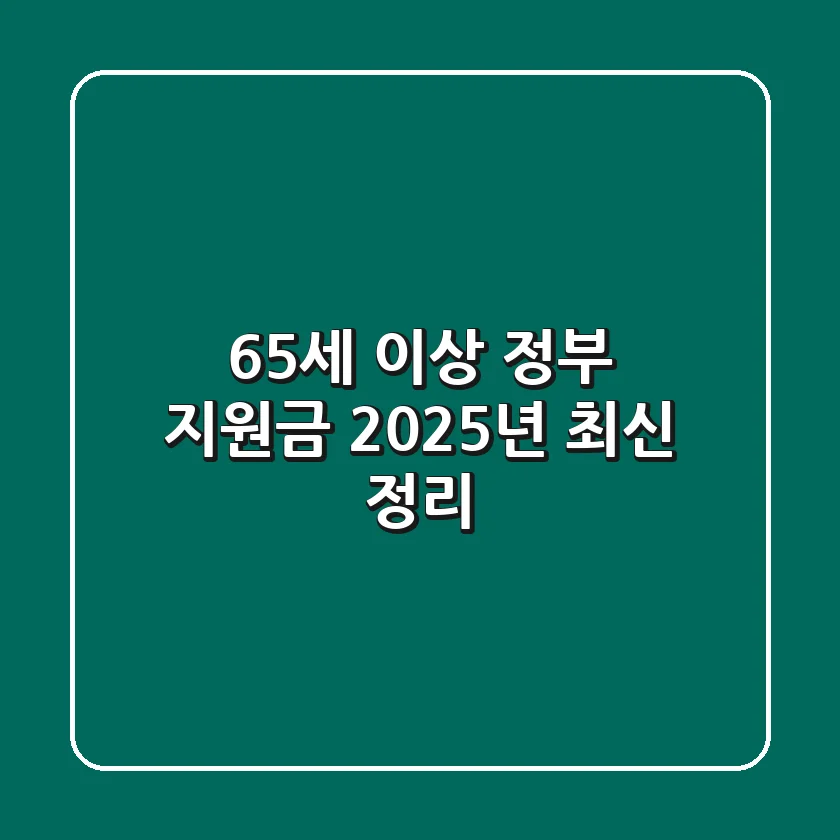 65세 이상 정부 지원금 2025년 최신 정리!