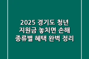 2025 경기도 청년 지원금, 놓치면 손해! 종류별 혜택 완벽 정리