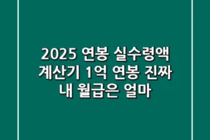 2025 연봉 실수령액 계산기: 1억 연봉, 진짜 내 월급은 얼마?