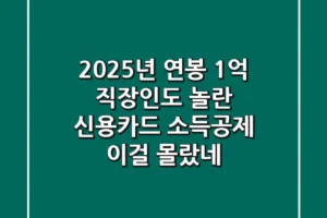 2025년 연봉 1억 직장인도 놀란 신용카드 소득공제, 이걸 몰랐네?