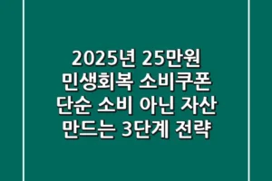 2025년 25만원 민생회복 소비쿠폰: 단순 소비 아닌 자산 만드는 3단계 전략