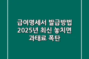 급여명세서 발급방법: 2025년 최신! 놓치면 과태료 폭탄💣