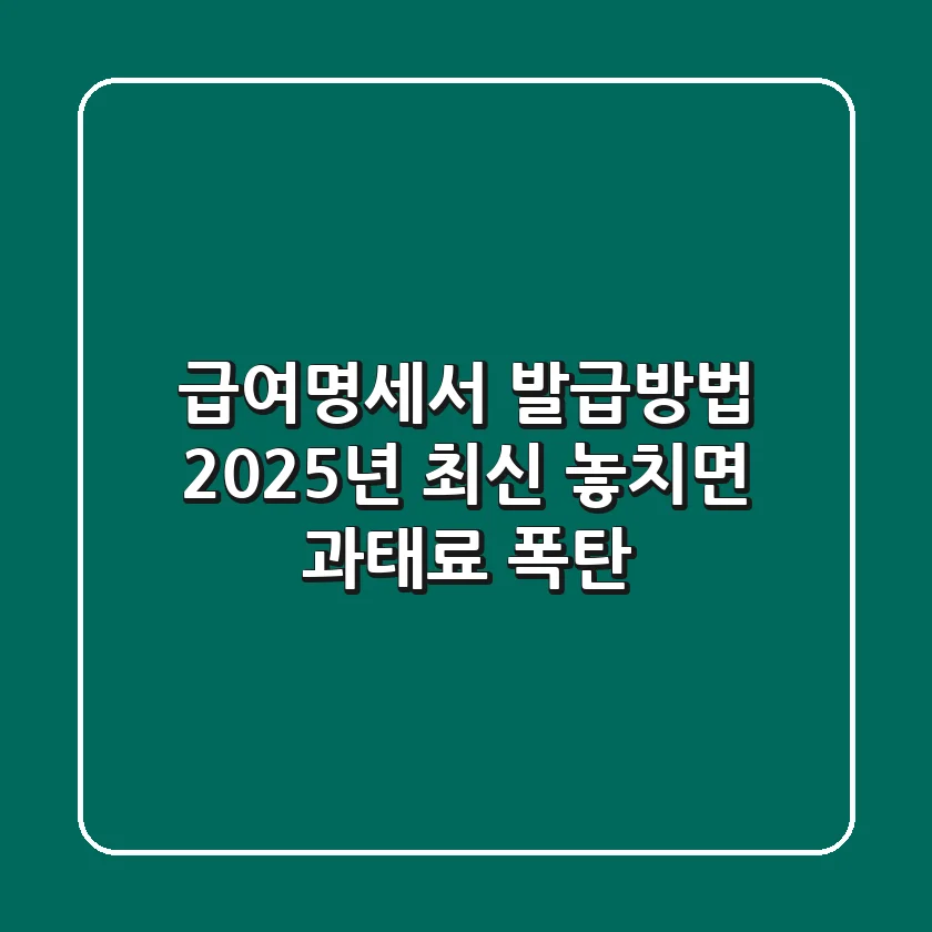 급여명세서 발급방법: 2025년 최신! 놓치면 과태료 폭탄💣