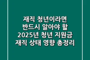 재직 청년이라면 반드시 알아야 할 2025년 청년 지원금 재직 상태 영향 총정리