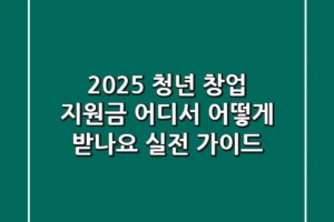 2025 청년 창업 지원금, 어디서 어떻게 받나요? 실전 가이드
