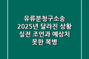 유류분청구소송, 2025년 달라진 상황! 실전 조언과 예상치 못한 복병