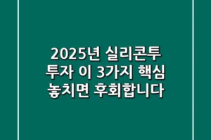 2025년 실리콘투 투자, 이 3가지 핵심 놓치면 후회합니다