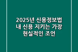 2025년 신용정보법, 내 신용 지키는 가장 현실적인 조언