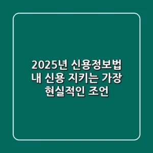 2025년 신용정보법, 내 신용 지키는 가장 현실적인 조언
