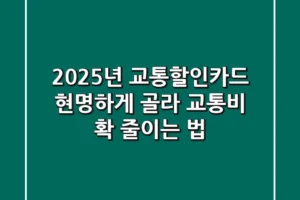 2025년 교통할인카드, 현명하게 골라 교통비 확 줄이는 법