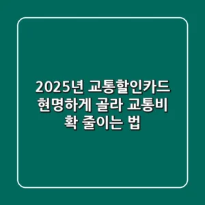 2025년 교통할인카드, 현명하게 골라 교통비 확 줄이는 법