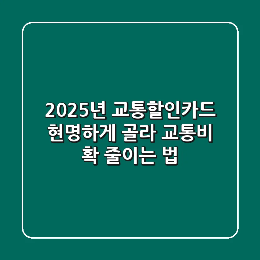 2025년 교통할인카드, 현명하게 골라 교통비 확 줄이는 법