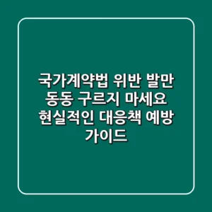 국가계약법 위반, 발만 동동 구르지 마세요! 현실적인 대응책 & 예방 가이드