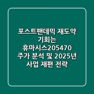"포스트-팬데믹 재도약 기회는?", 휴마시스(205470) 주가 분석 및 2025년 사업 재편 전략