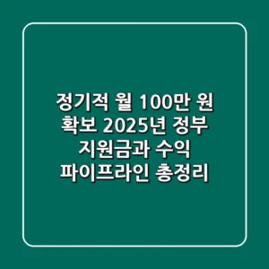 "정기적 월 100만 원 확보", 2025년 정부 지원금과 수익 파이프라인 총정리