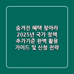 "숨겨진 혜택 찾아라!", 2025년 국가 정책 '추가기준' 완벽 활용 가이드 및 신청 전략