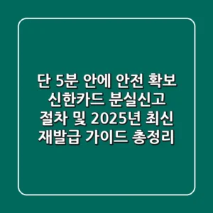"단 5분 안에 안전 확보", 신한카드 분실신고 절차 및 2025년 최신 재발급 가이드 총정리