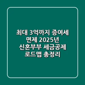 "최대 3억까지 증여세 면제?", 2025년 신혼부부 세금공제 로드맵 총정리