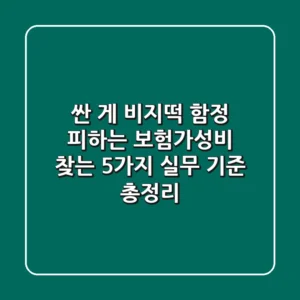 "싼 게 비지떡?" 함정 피하는 보험가성비 찾는 5가지 실무 기준 총정리