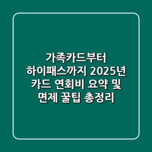 "가족카드부터 하이패스까지", 2025년 카드 연회비 요약 및 면제 꿀팁 총정리