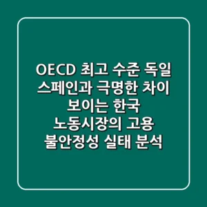 "OECD 최고 수준?", 독일, 스페인과 극명한 차이 보이는 한국 노동시장의 고용 불안정성 실태 분석