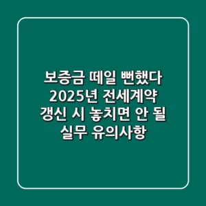 "보증금 떼일 뻔했다", 2025년 전세계약 갱신 시 놓치면 안 될 실무 유의사항