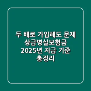 "두 배로 가입해도 문제?" 상급병실보험금 2025년 지급 기준 '총정리'