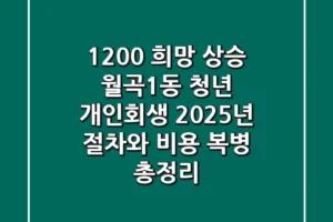 “1,200% 희망 상승!” 월곡1동 청년 개인회생, 2025년 절차와 비용 ‘복병’ 총정리