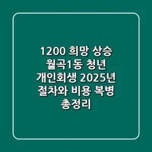 "1,200% 희망 상승!" 월곡1동 청년 개인회생, 2025년 절차와 비용 '복병' 총정리