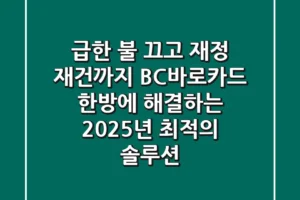 “급한 불 끄고 재정 재건까지”, BC바로카드 한방에 해결하는 2025년 최적의 솔루션
