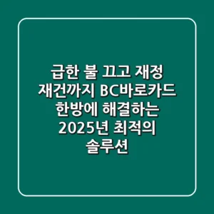 "급한 불 끄고 재정 재건까지", BC바로카드 한방에 해결하는 2025년 최적의 솔루션