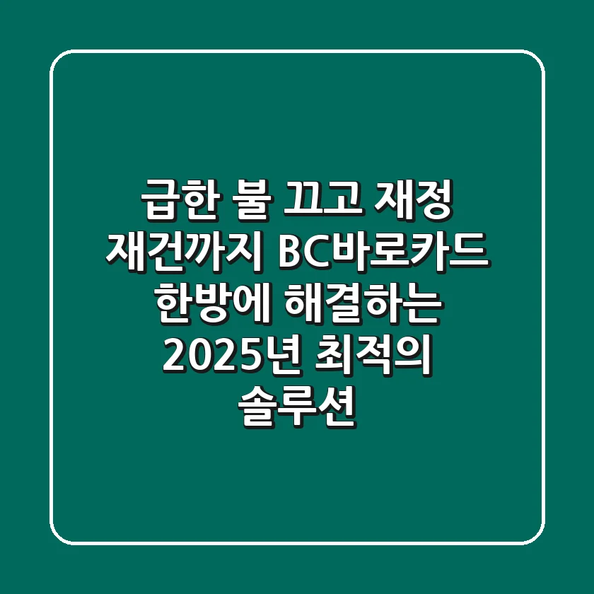 "급한 불 끄고 재정 재건까지", BC바로카드 한방에 해결하는 2025년 최적의 솔루션