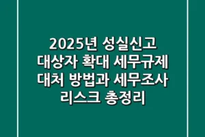 “2025년 성실신고 대상자 확대”, 세무규제 대처 방법과 세무조사 리스크 총정리