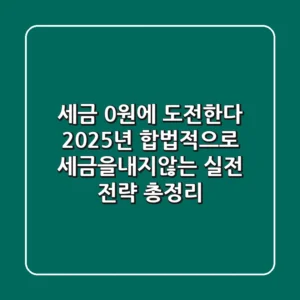 "세금 0원에 도전한다", 2025년 합법적으로 세금을내지않는 실전 전략 총정리