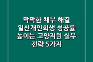“막막한 채무 해결”, 일산개인회생 성공률 높이는 고양지원 실무 전략 5가지